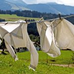 Wäscheleine mit weißer Wäsche in grüner Landschaft - Wäsche waschen