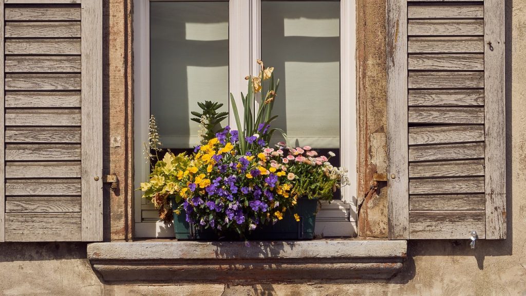 Fenster mit bepflanztem Blumenkasten und blühenden Blumen