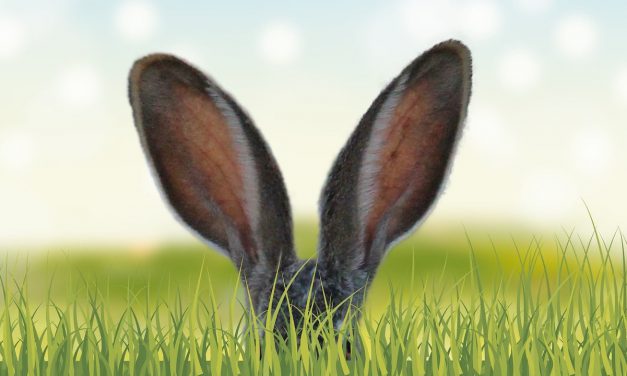 Hase goes green – feiere nachhaltig Ostern!