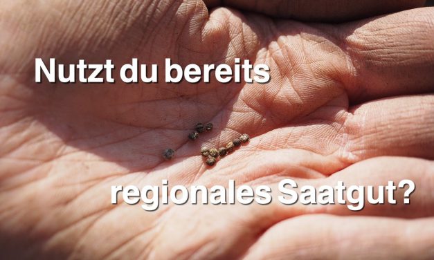 Regionales Saatgut: Blumenwiese à la carte für Bienen, Schmetterlinge und Co.